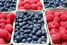 Innovación Estratégica: Hortifrut a la vanguardia en el mercado de berries a nivel mundial